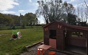 Foret De Nieppe