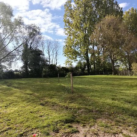 Foret De Nieppe Merville  Buitenkant foto