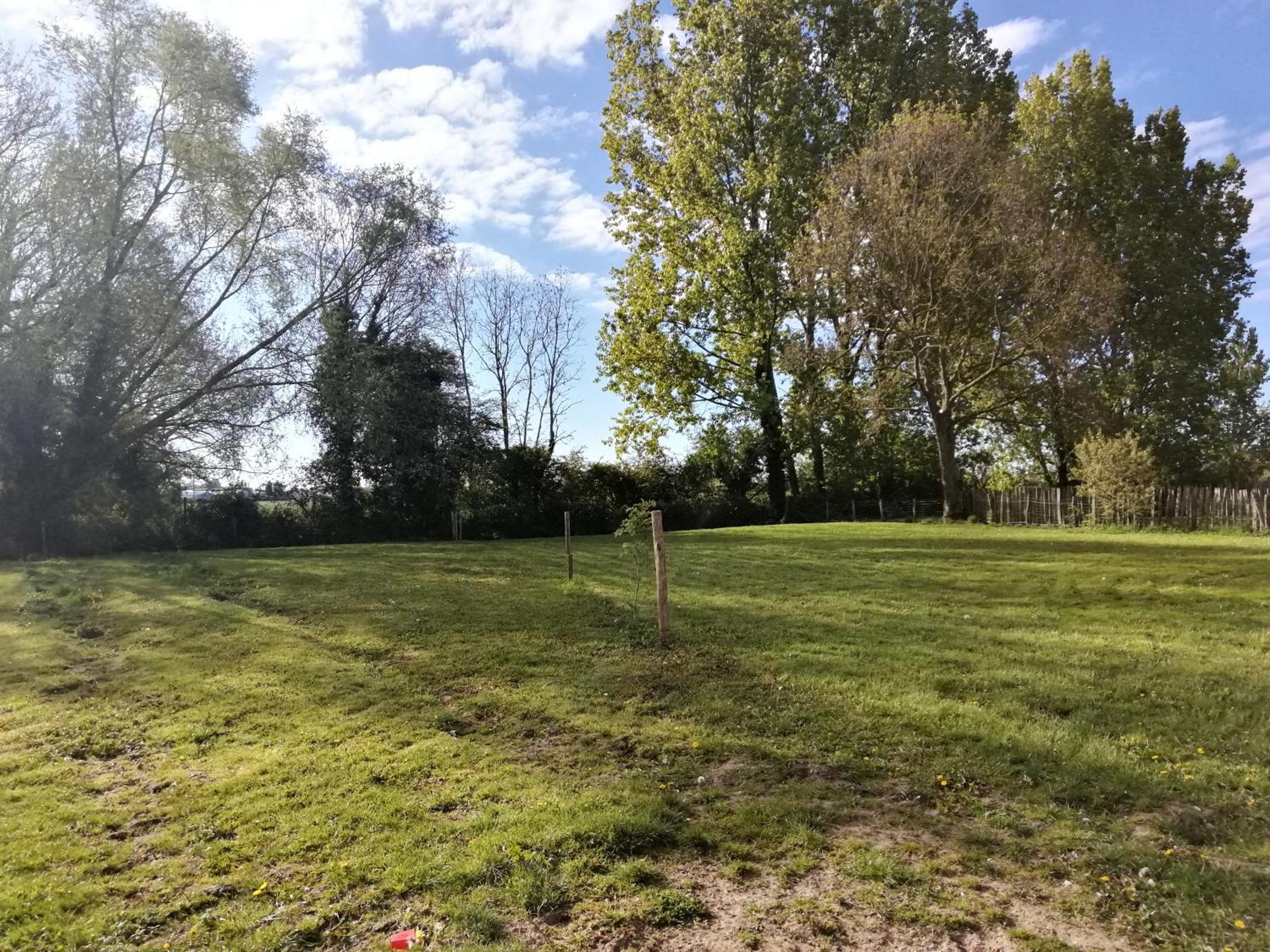 Foret De Nieppe Merville  Buitenkant foto